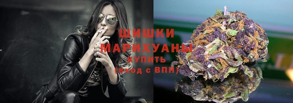ешки Медногорск