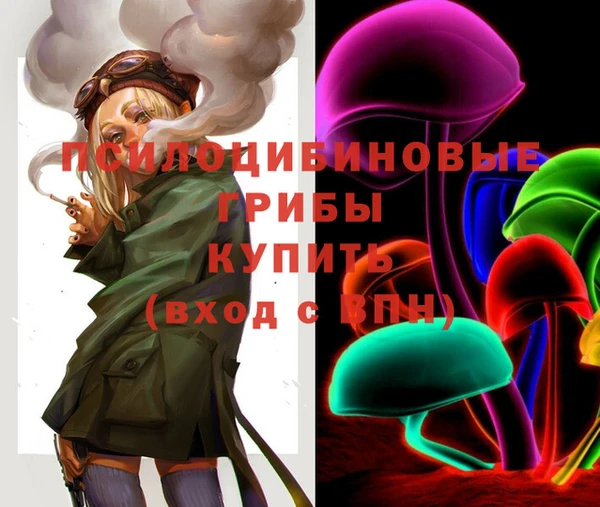 ECSTASY Мегион