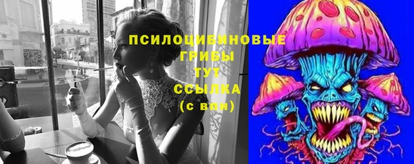 ECSTASY Мегион