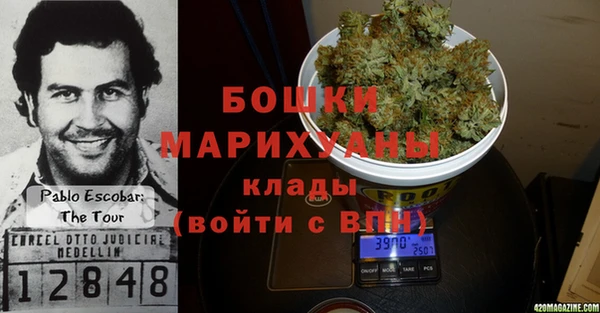 ешки Медногорск