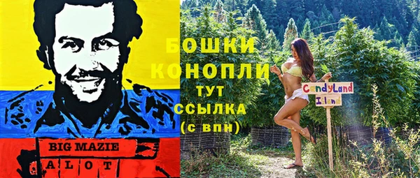 ешки Медногорск
