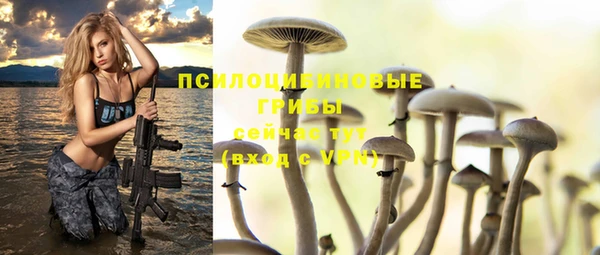 ECSTASY Мегион