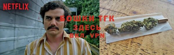 ешки Медногорск