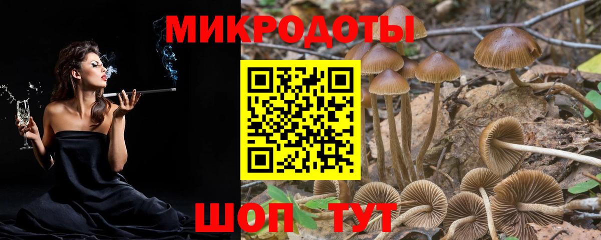 купить наркотики сайты  Галлюциногенные грибы мухоморы  Вход с VPN  Муравленко 