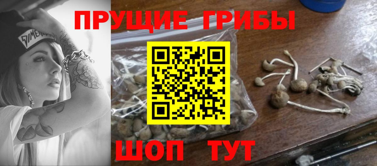 Псилоцибиновые грибы MAGIC MUSHROOMS Муравленко