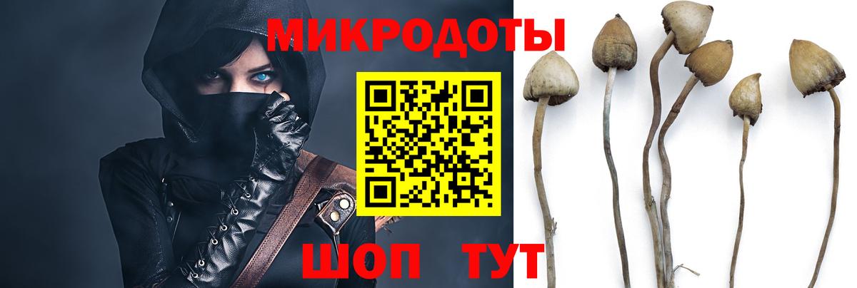 Галлюциногенные грибы GOLDEN TEACHER Муравленко
